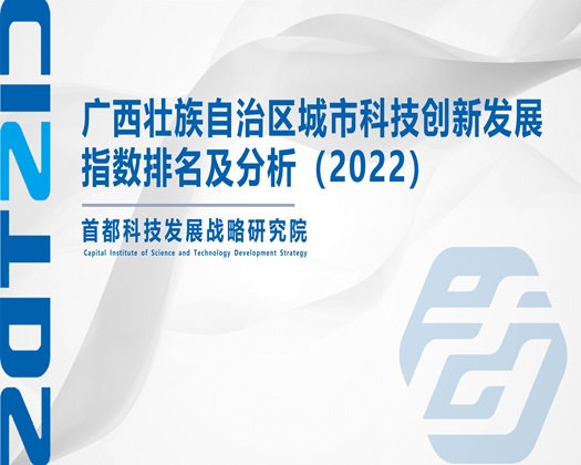 老大太操肥逼【成果发布】广西壮族自治区城市科技创新发展指数排名及分析（2022）